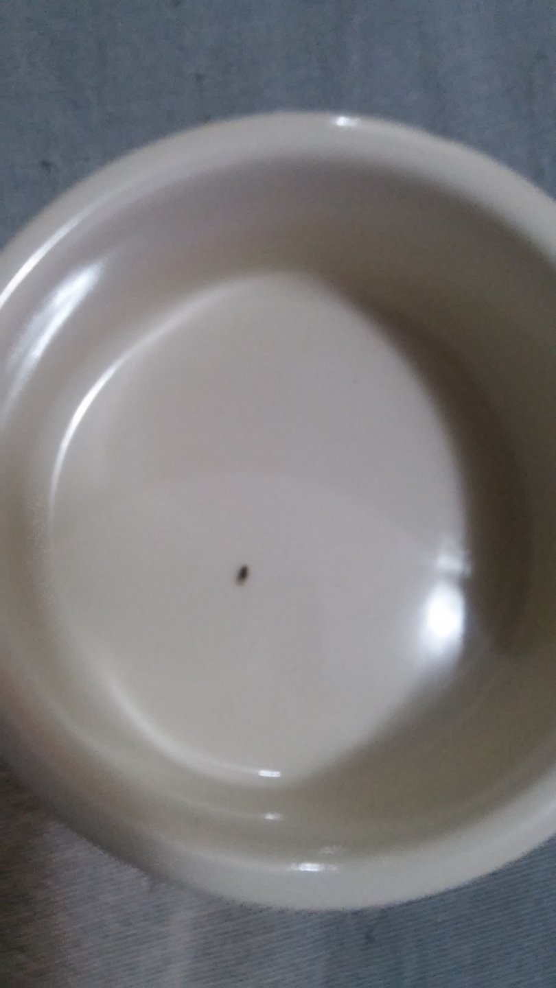 20160203_150347.jpg
