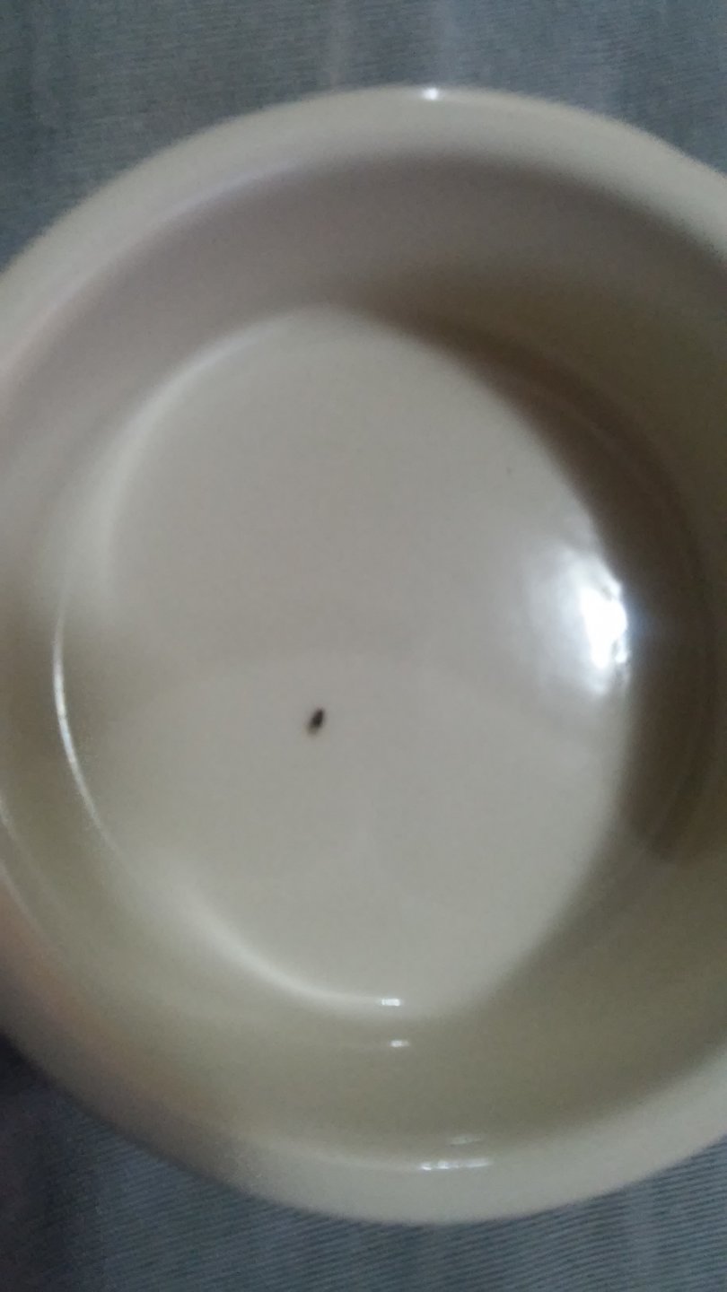 20160203_150520.jpg