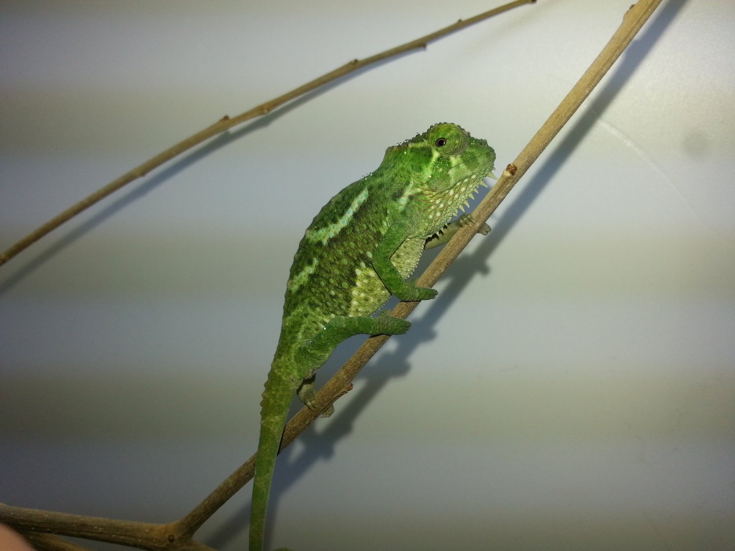 20160204_160439.jpg