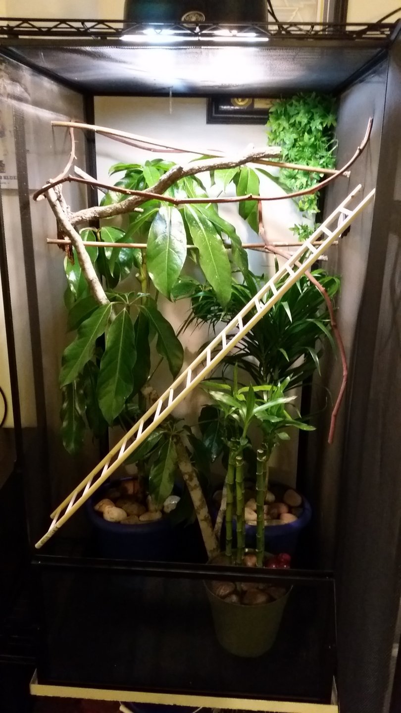 20160208_221527.jpg