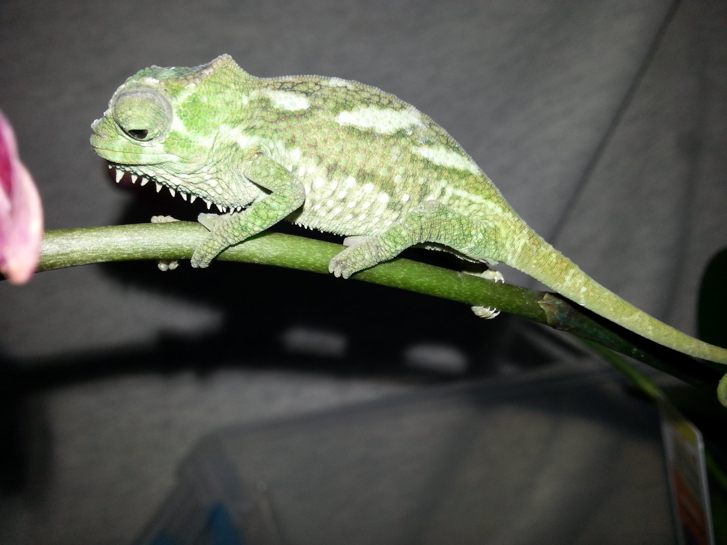 20160212_165322.jpg
