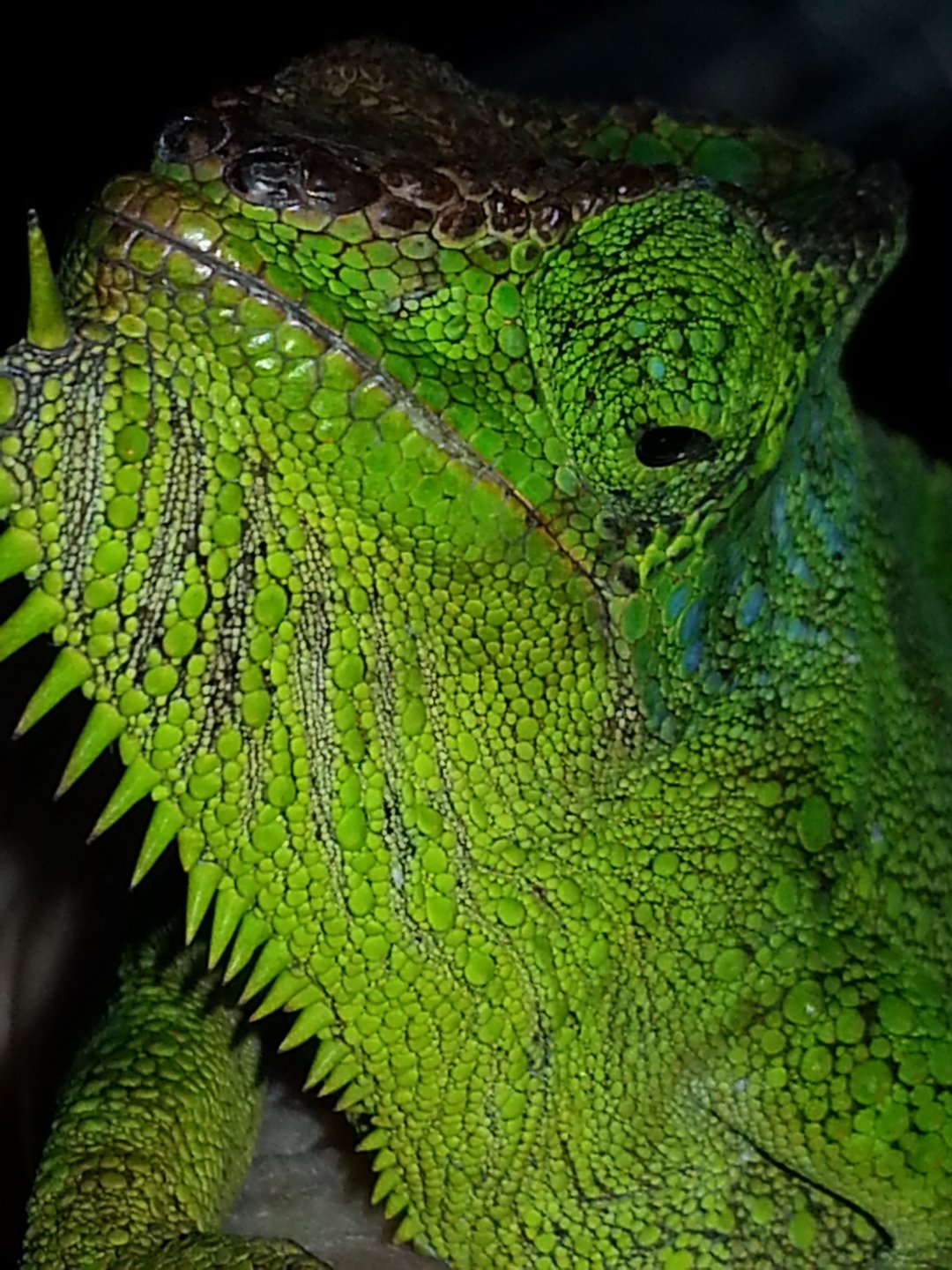 20160216_085927.jpg