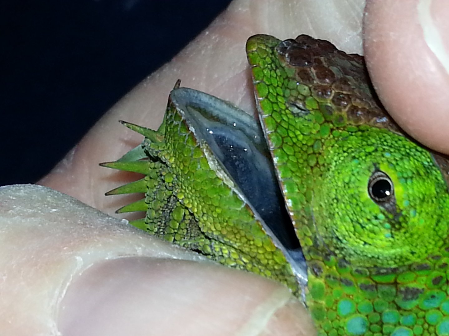 20160216_090001.jpg