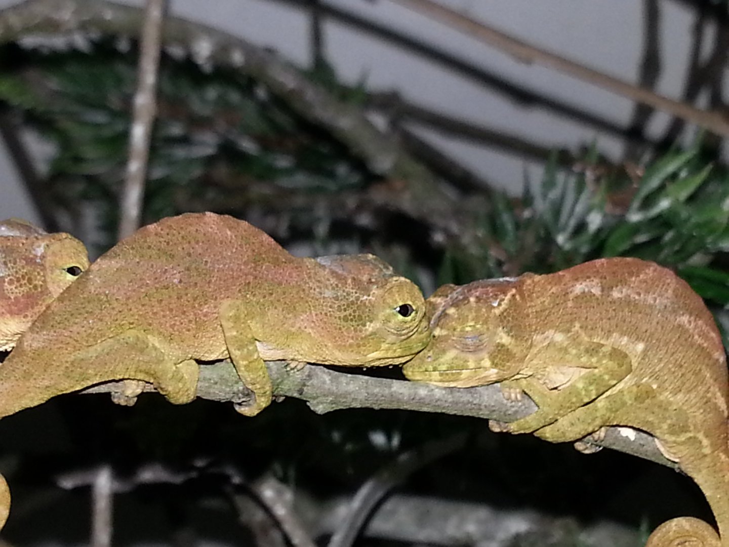 20160219_000434.jpg
