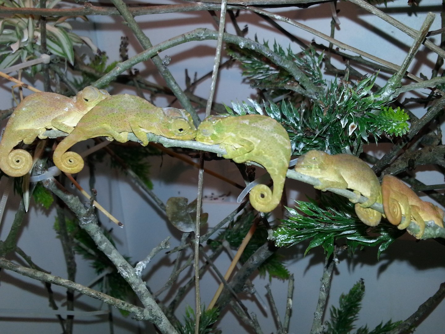20160219_002958.jpg