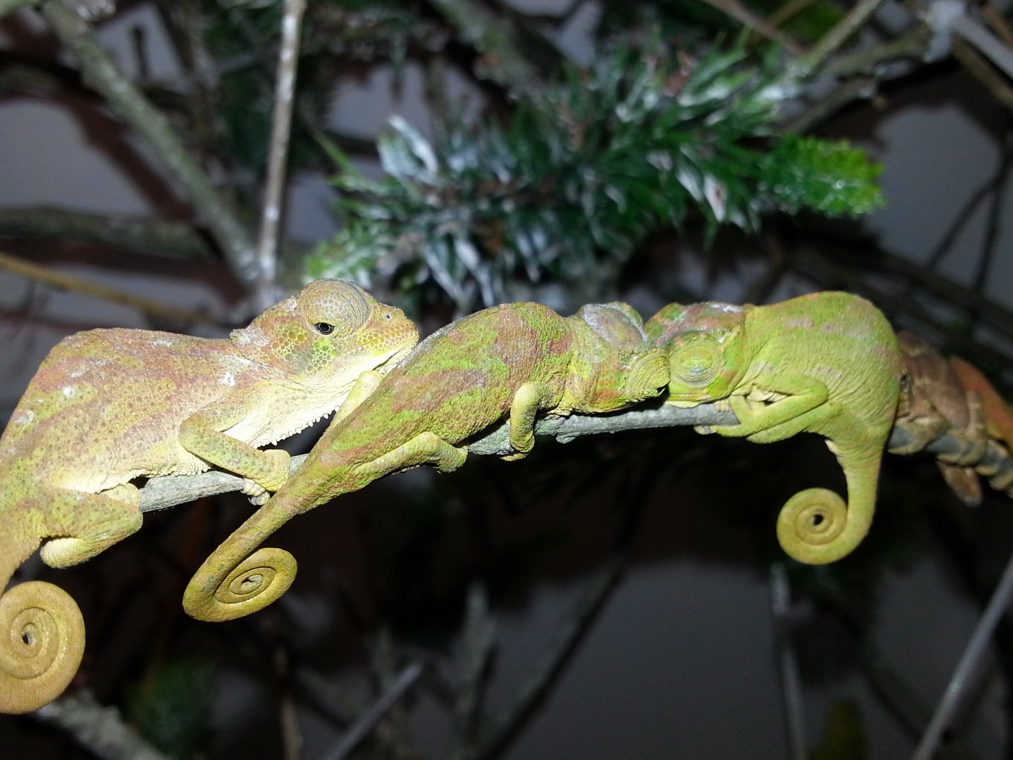 20160219_003021.jpg