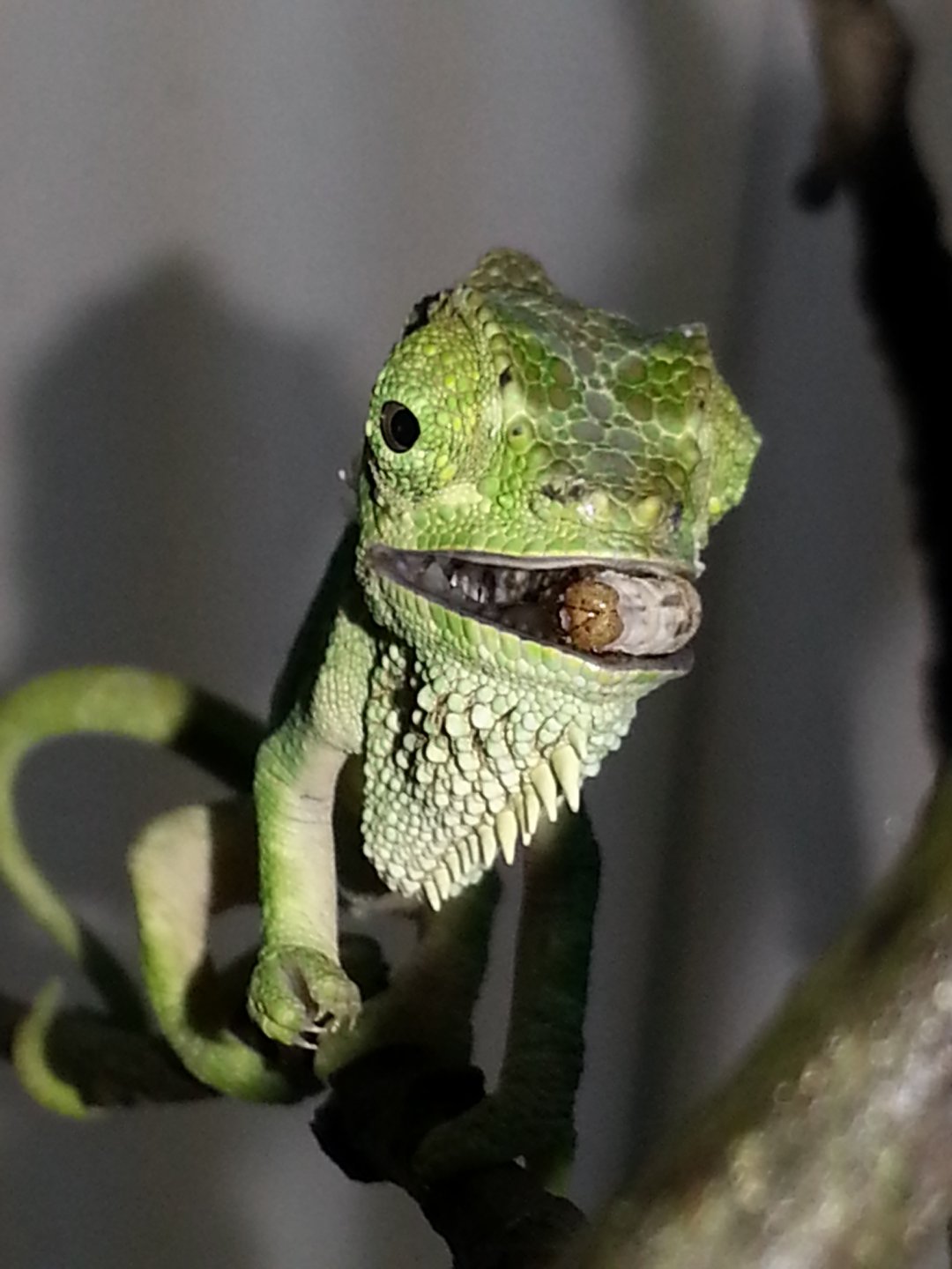 20160221_201456.jpg