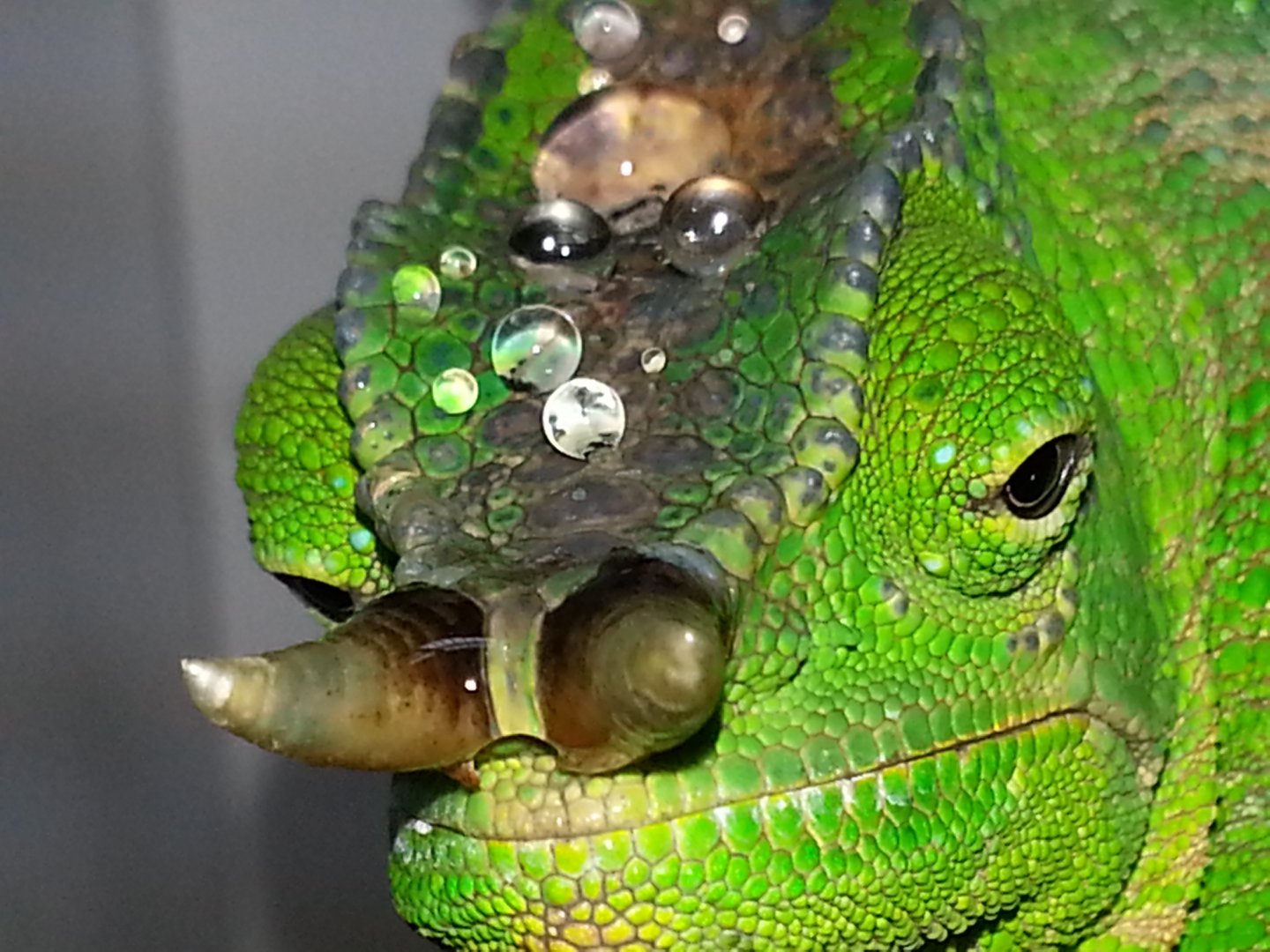20160222_151851.jpg