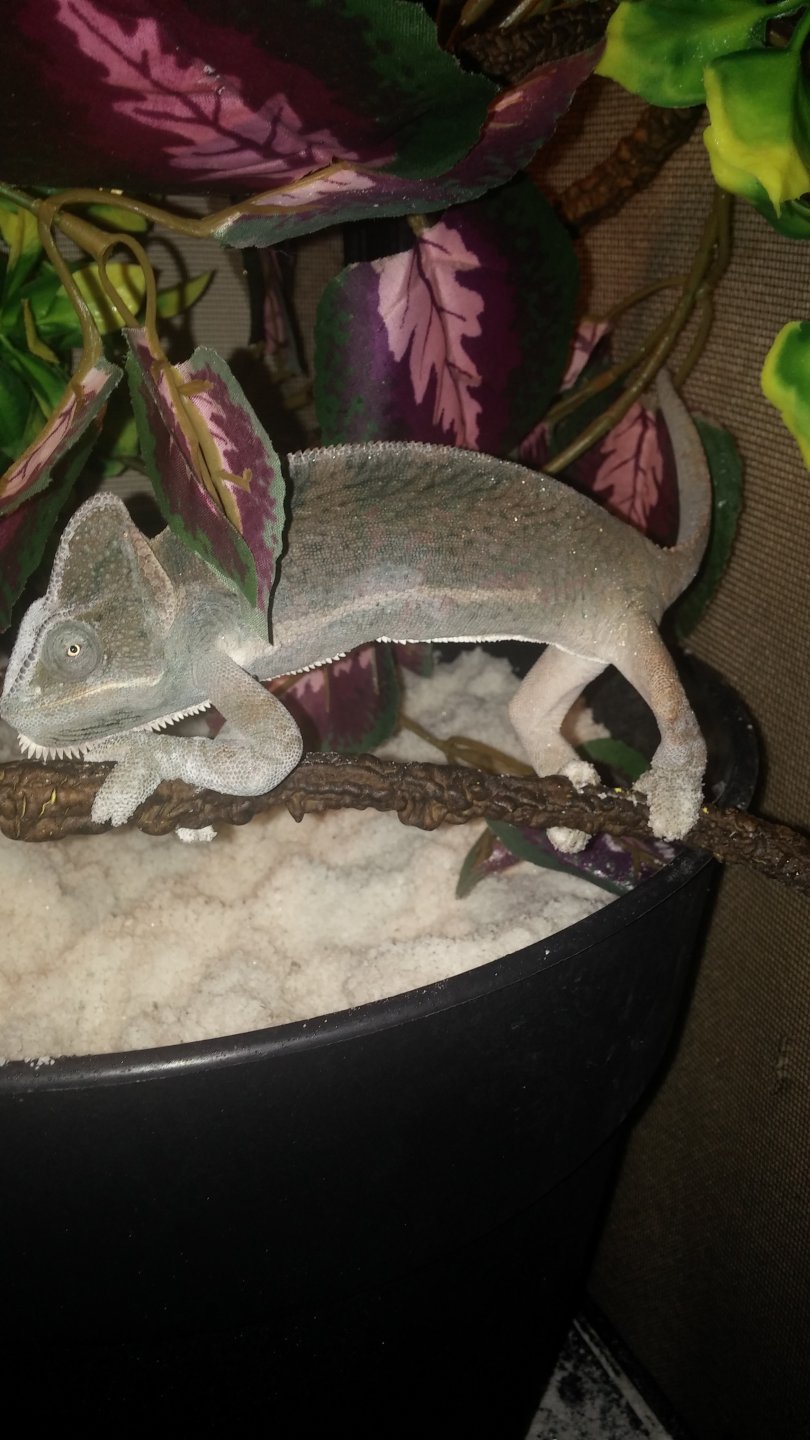 20160227_074049.jpg