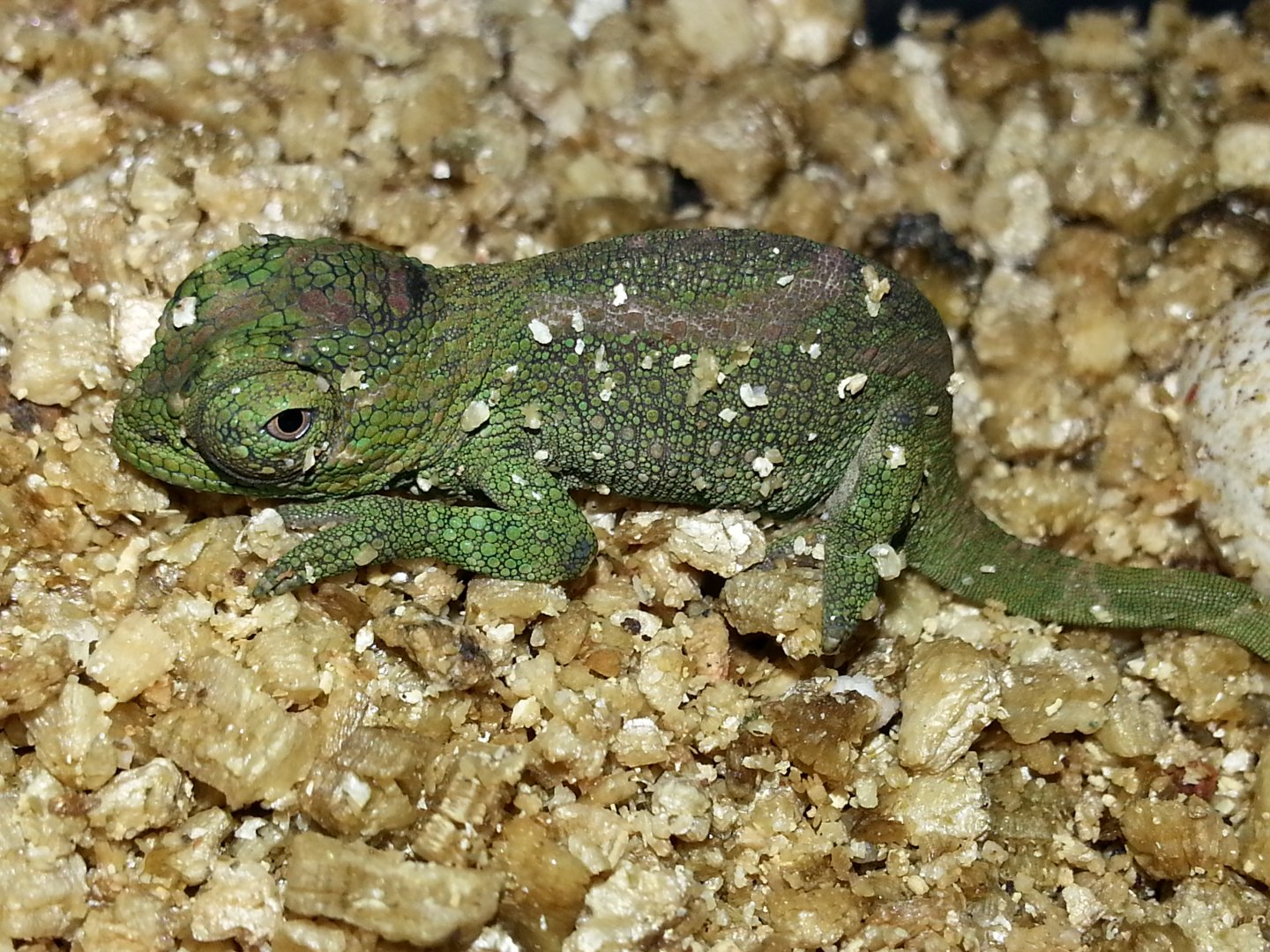20160227_151112.jpg