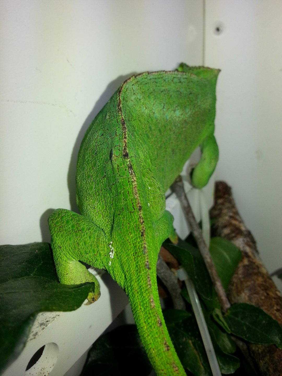 20160229_163644.jpg