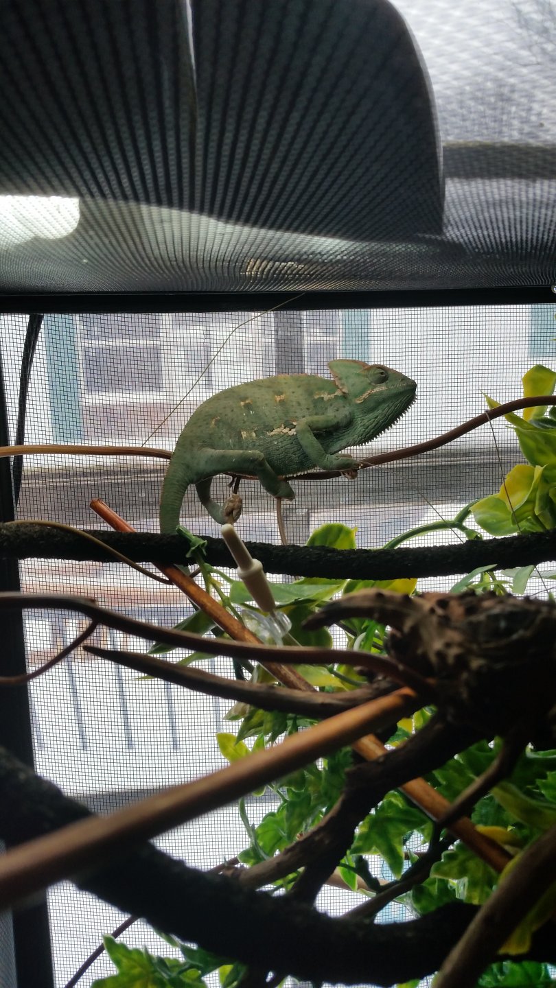 20160302_083346.jpg