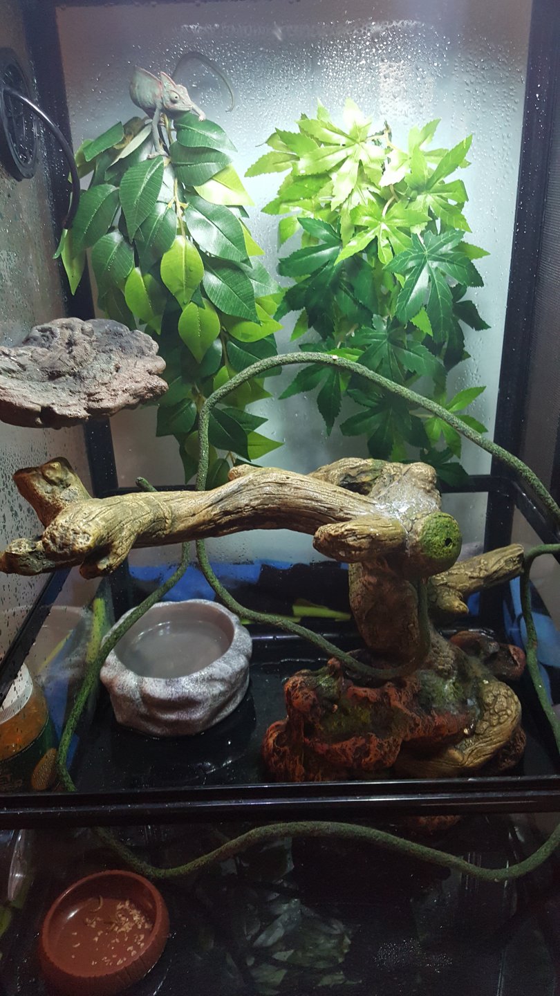 20160303_105144.jpg
