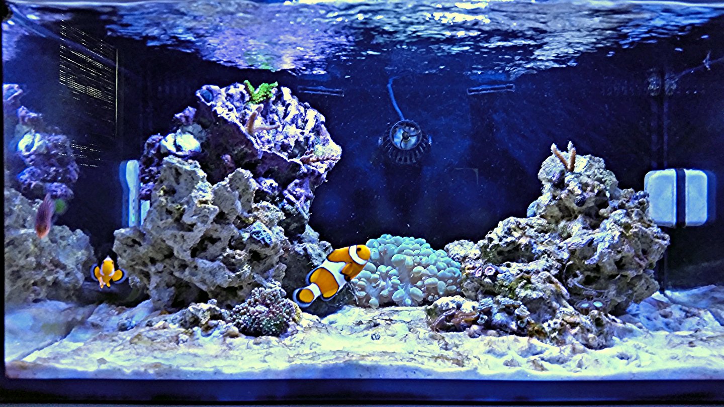 20160303_115157_zpsye9zn8da_edit_1457024697322.jpg