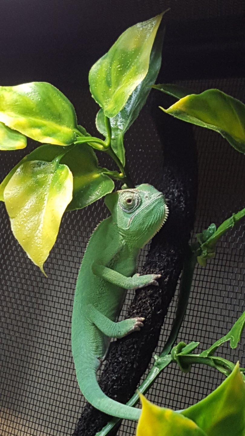 20160305_155335.jpg