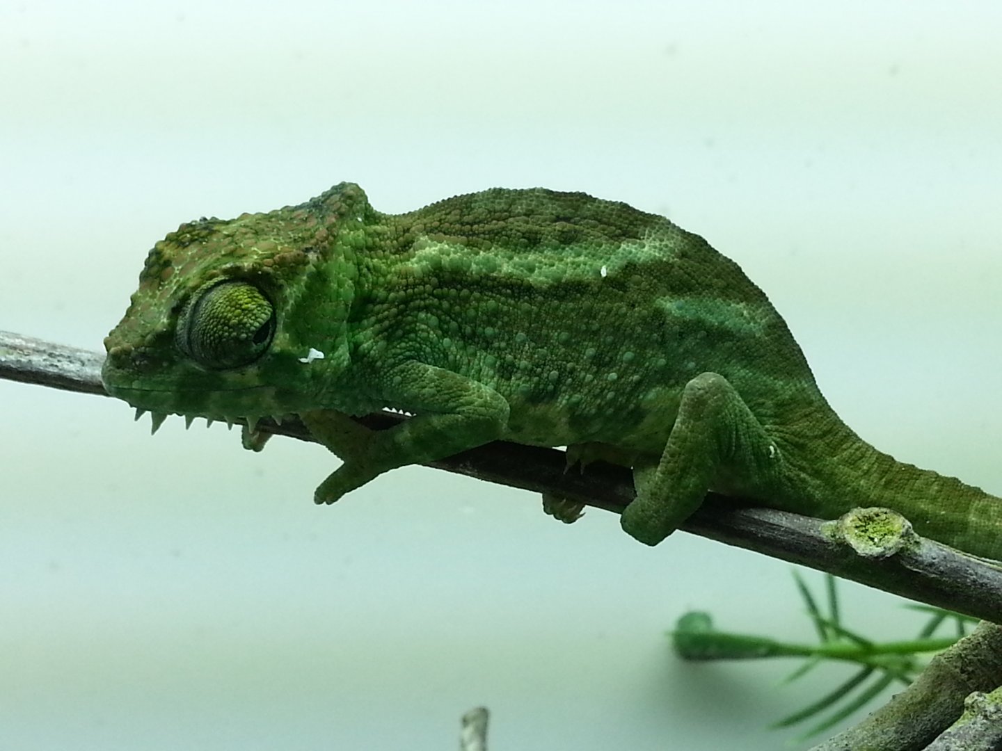 20160309_172242.jpg
