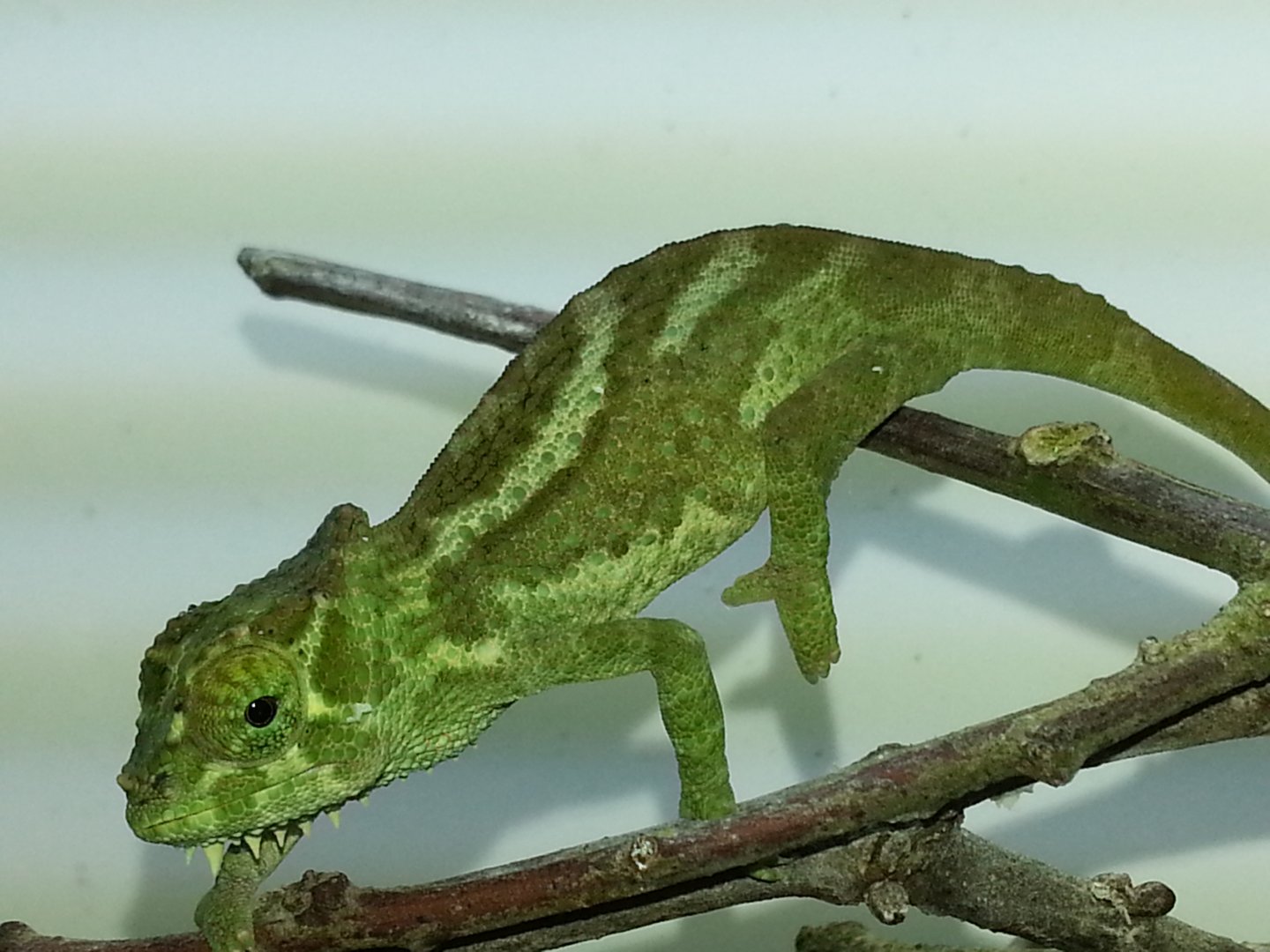 20160309_172324.jpg