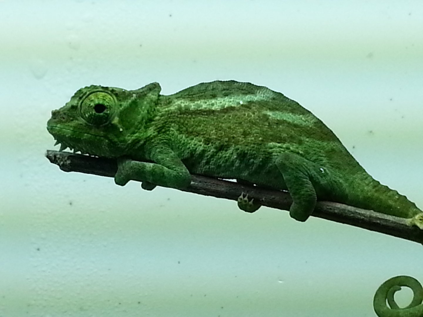 20160313_092954.jpg