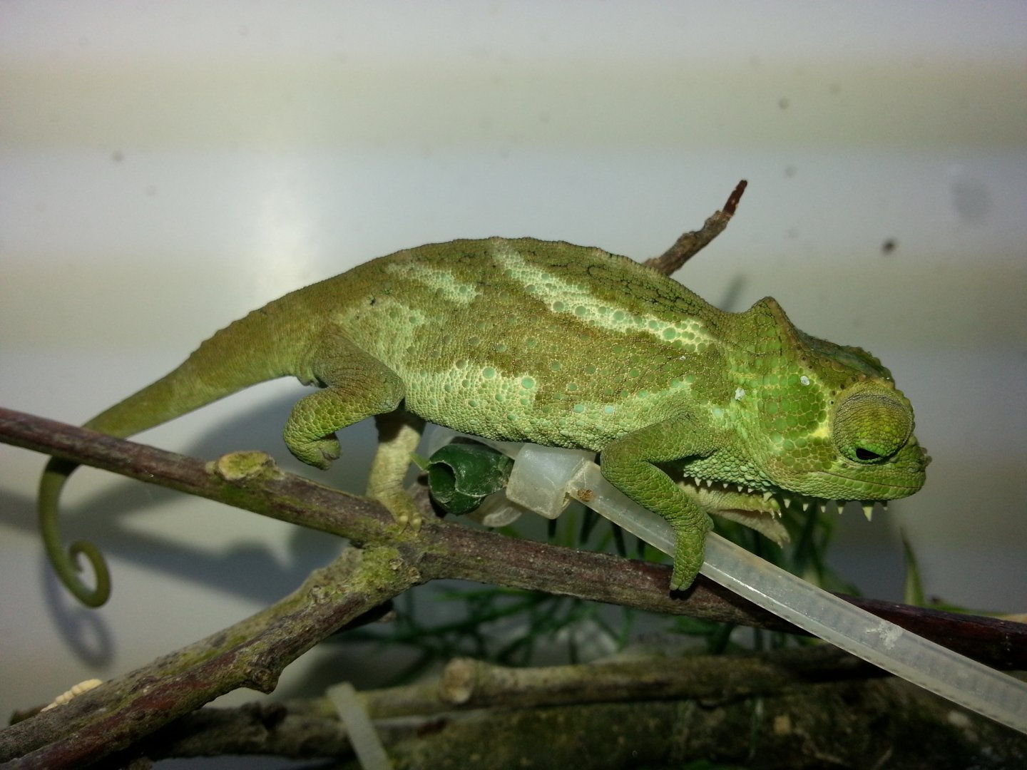 20160313_093235.jpg