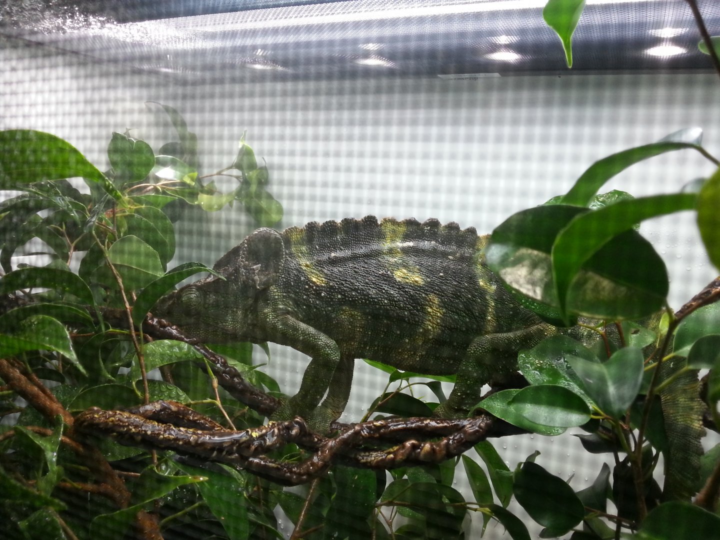 20160319_192743.jpg
