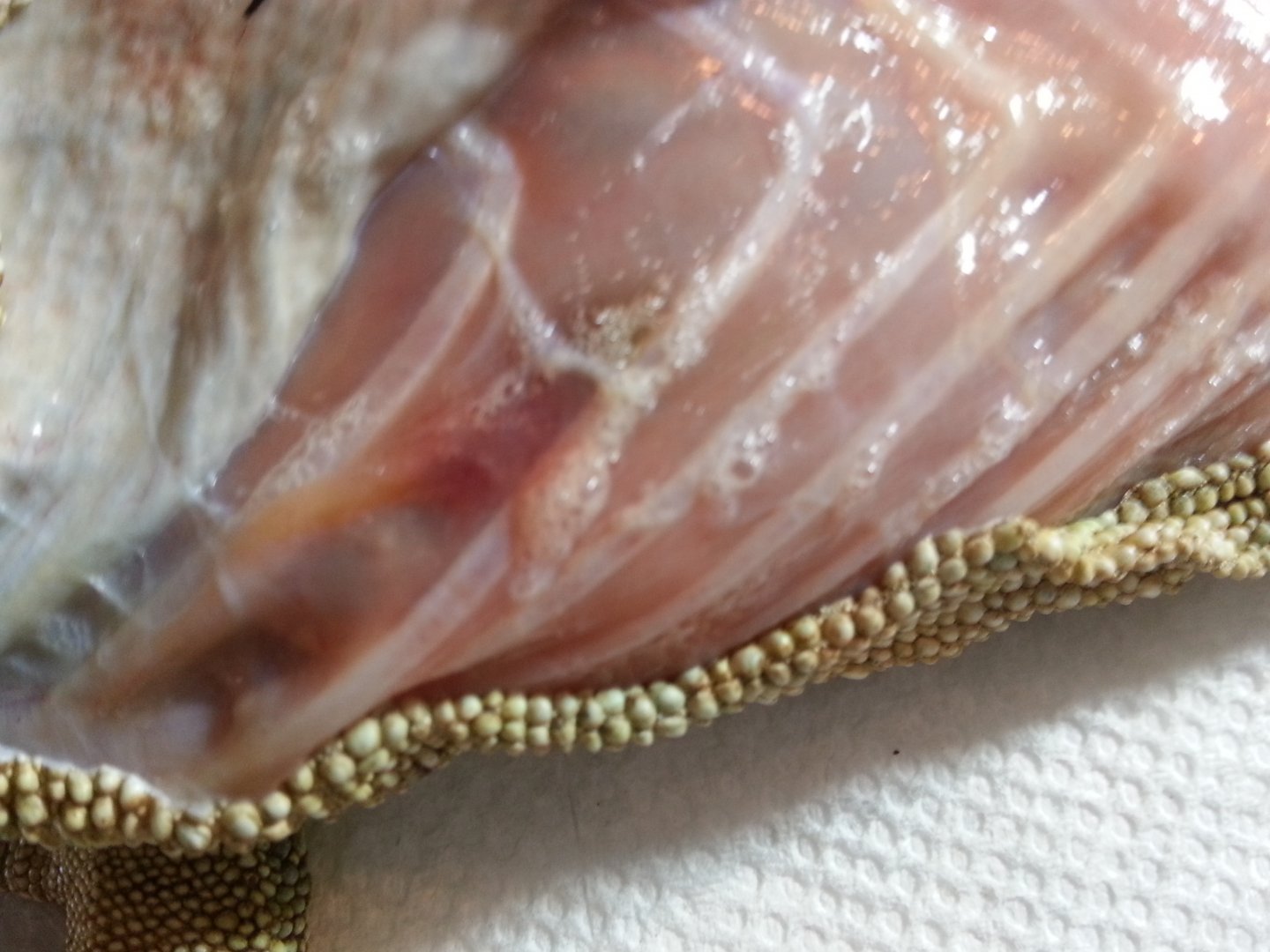 20160326_152011.jpg