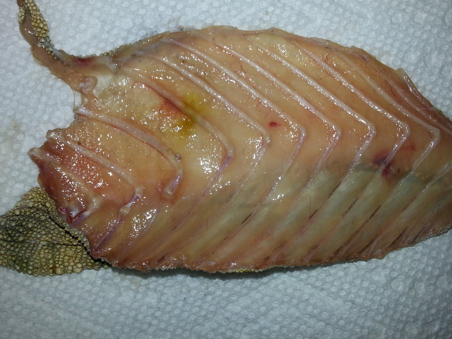 20160326_161407.jpg
