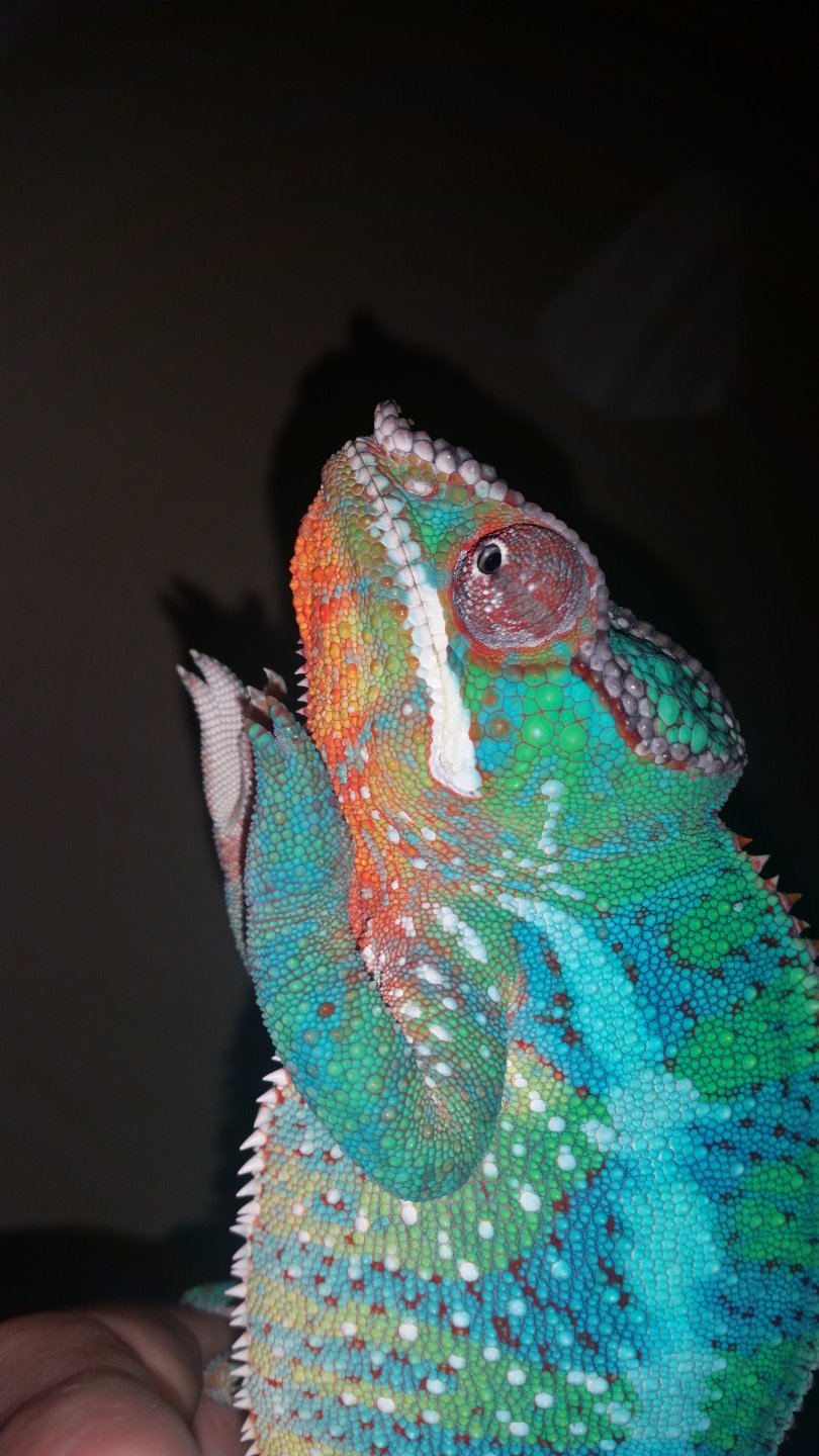 20160331_154103.jpg