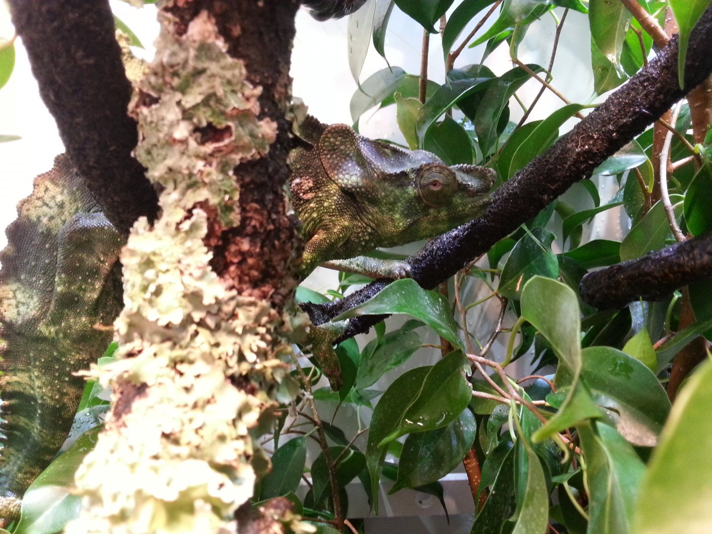 20160409_101629.jpg
