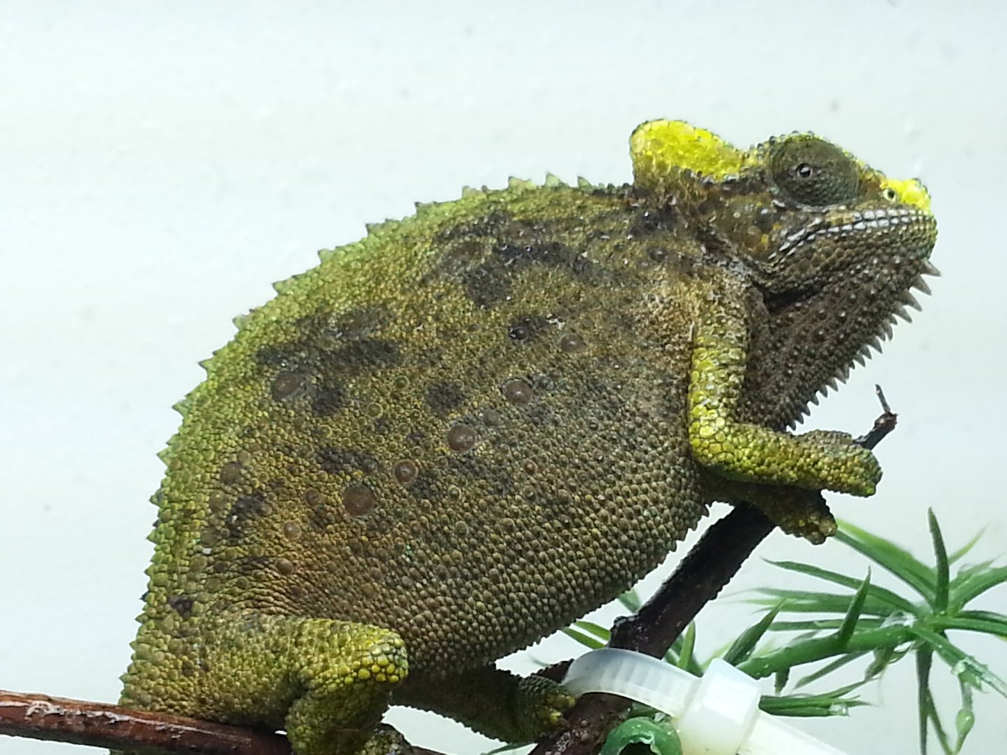 20160416_093145.jpg
