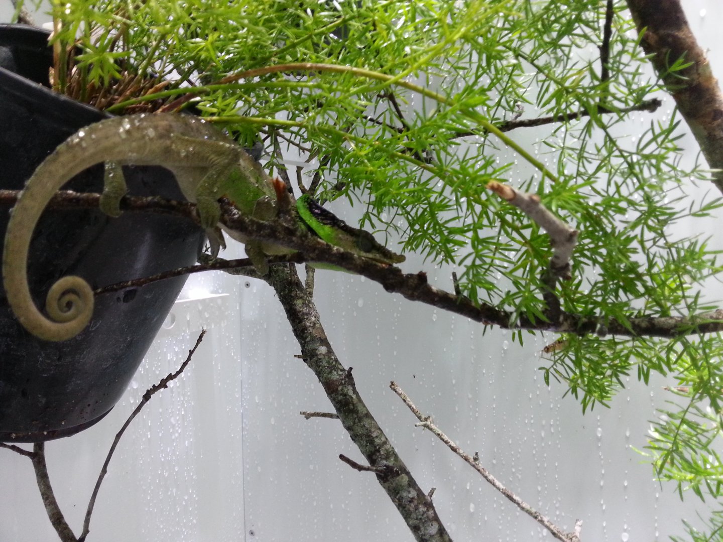 20160416_102341.jpg