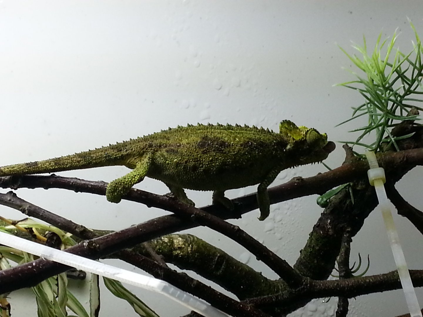 20160416_103415.jpg