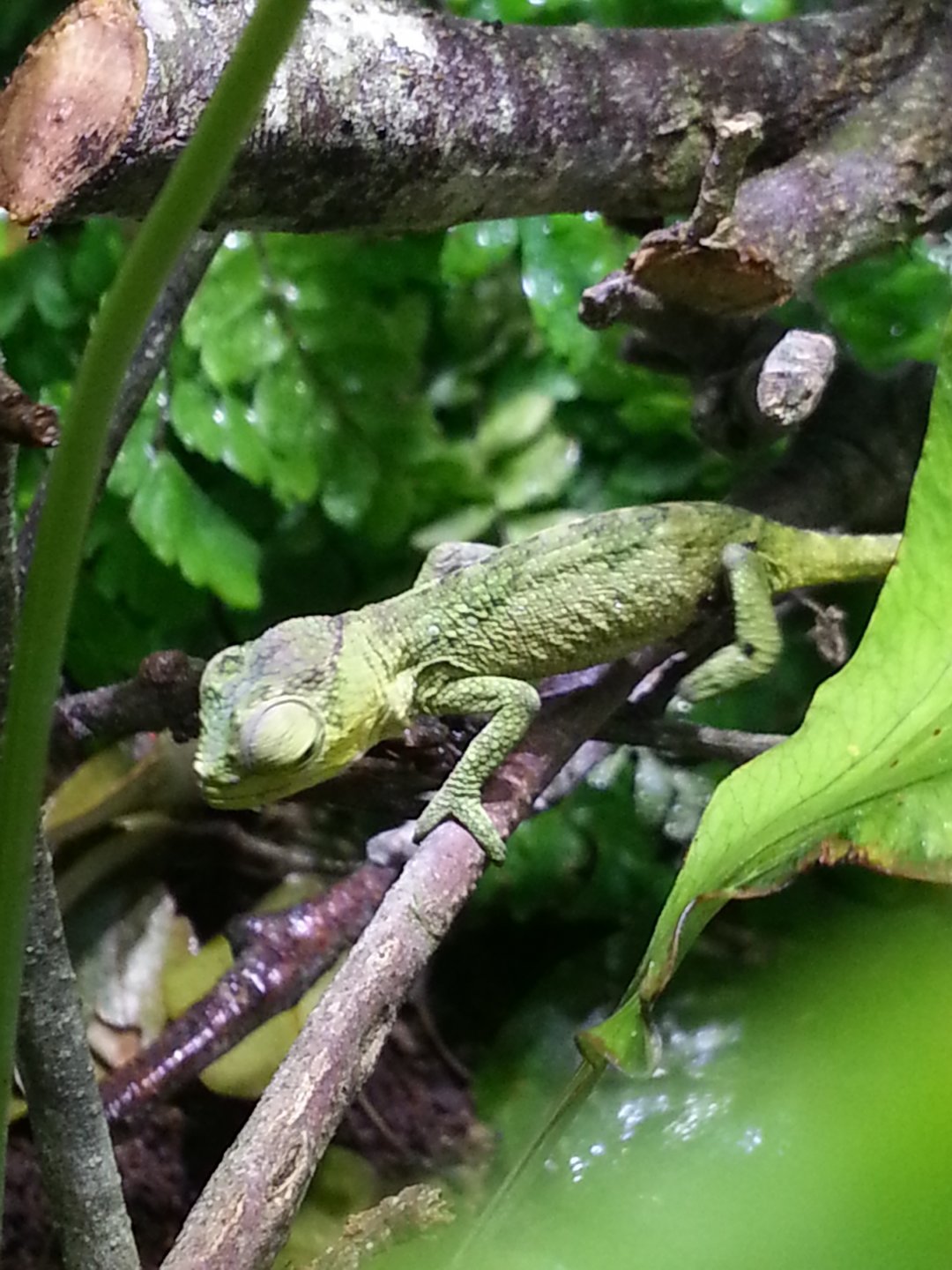 20160428_092149.jpg