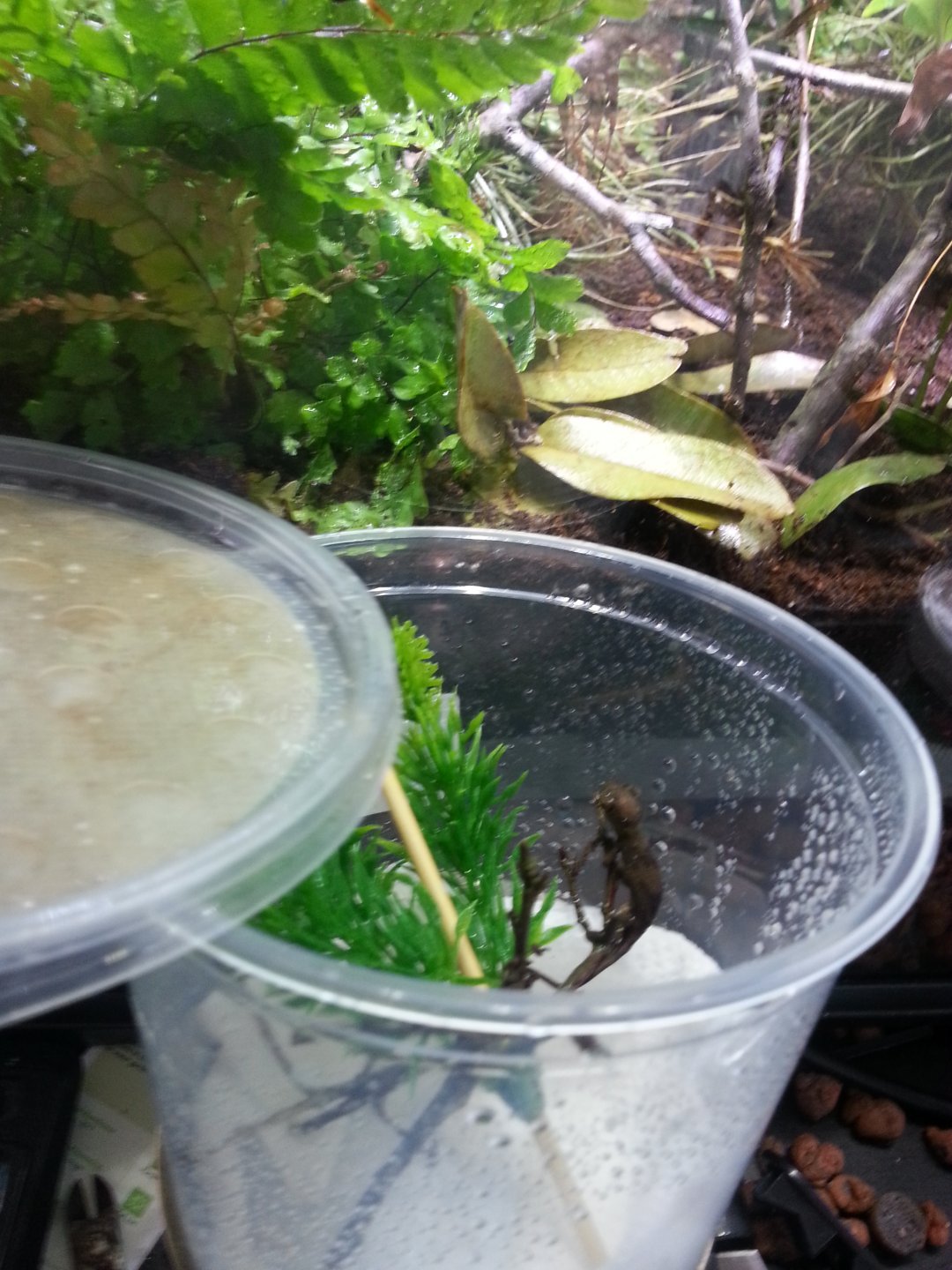 20160428_094842.jpg