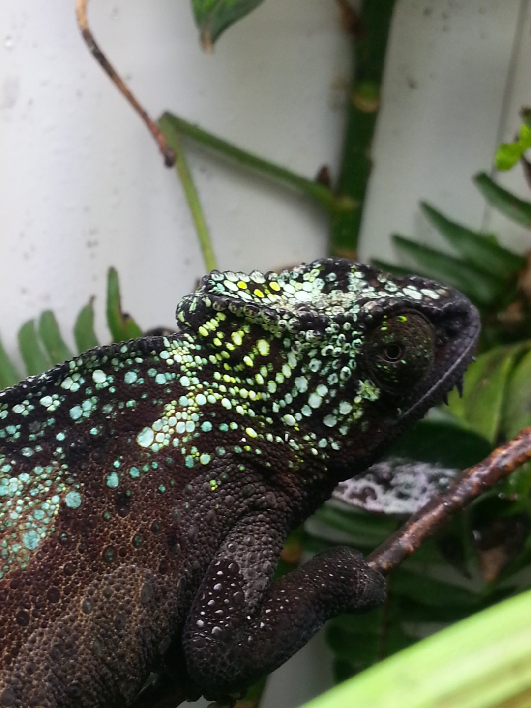 20160428_152444.jpg
