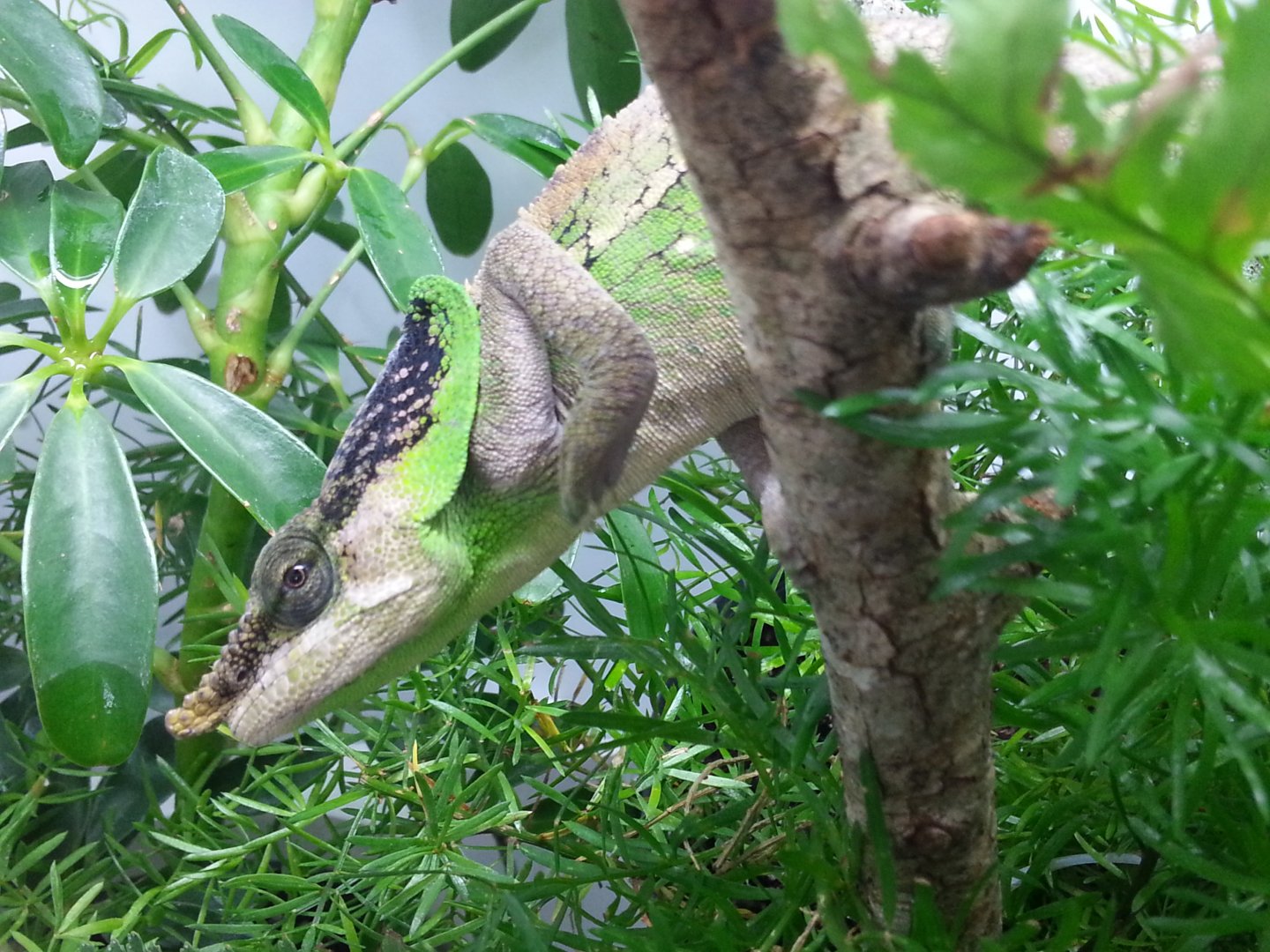 20160428_162142.jpg