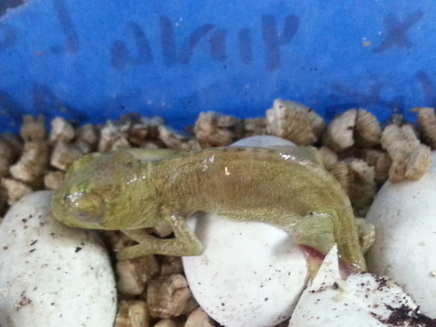 20160429_102308.jpg