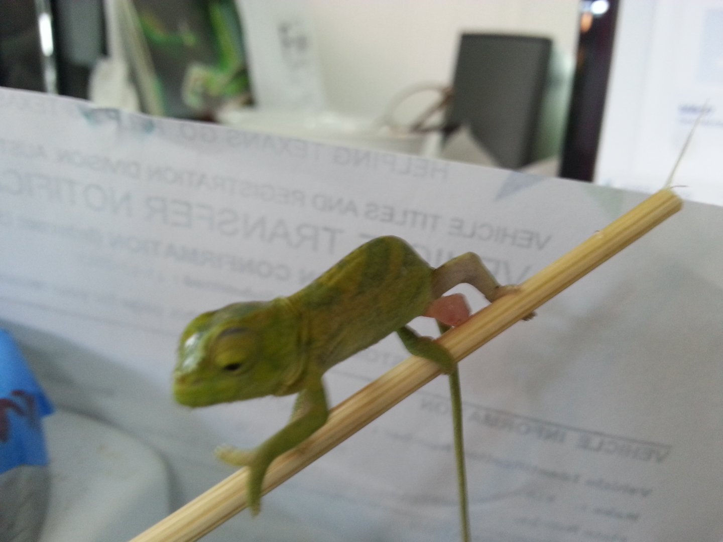 20160429_162321.jpg