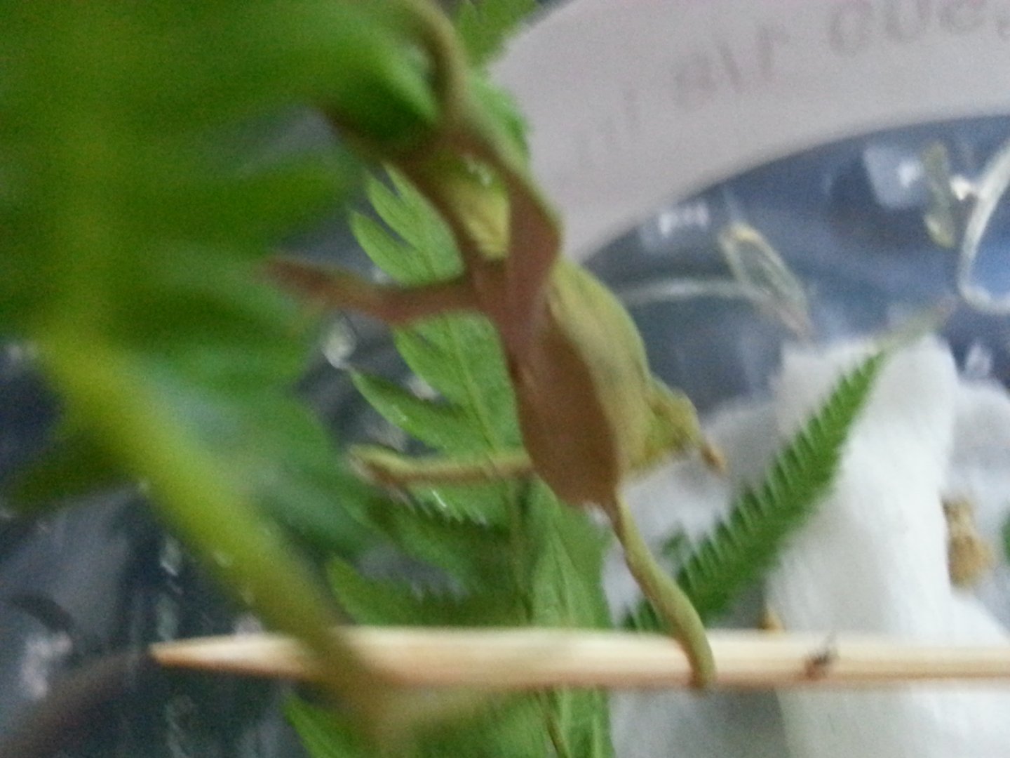 20160430_071302.jpg