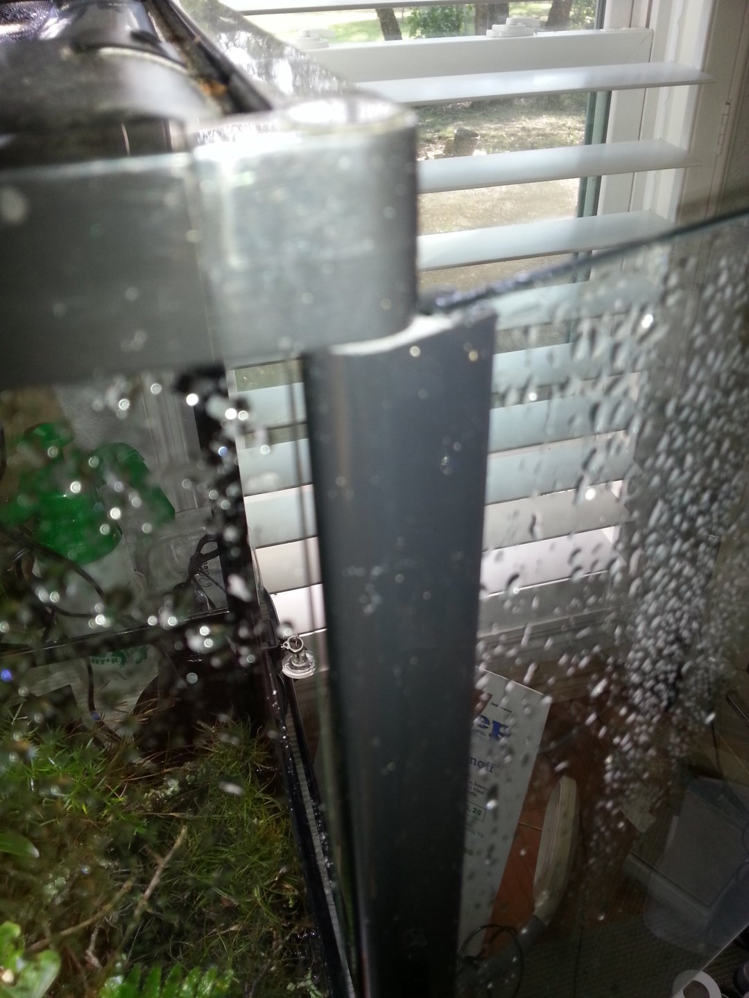 20160430_090650.jpg