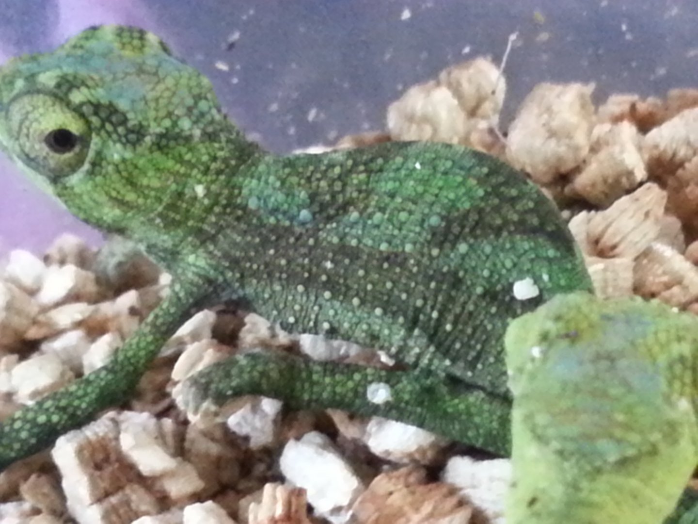 20160430_110411.jpg