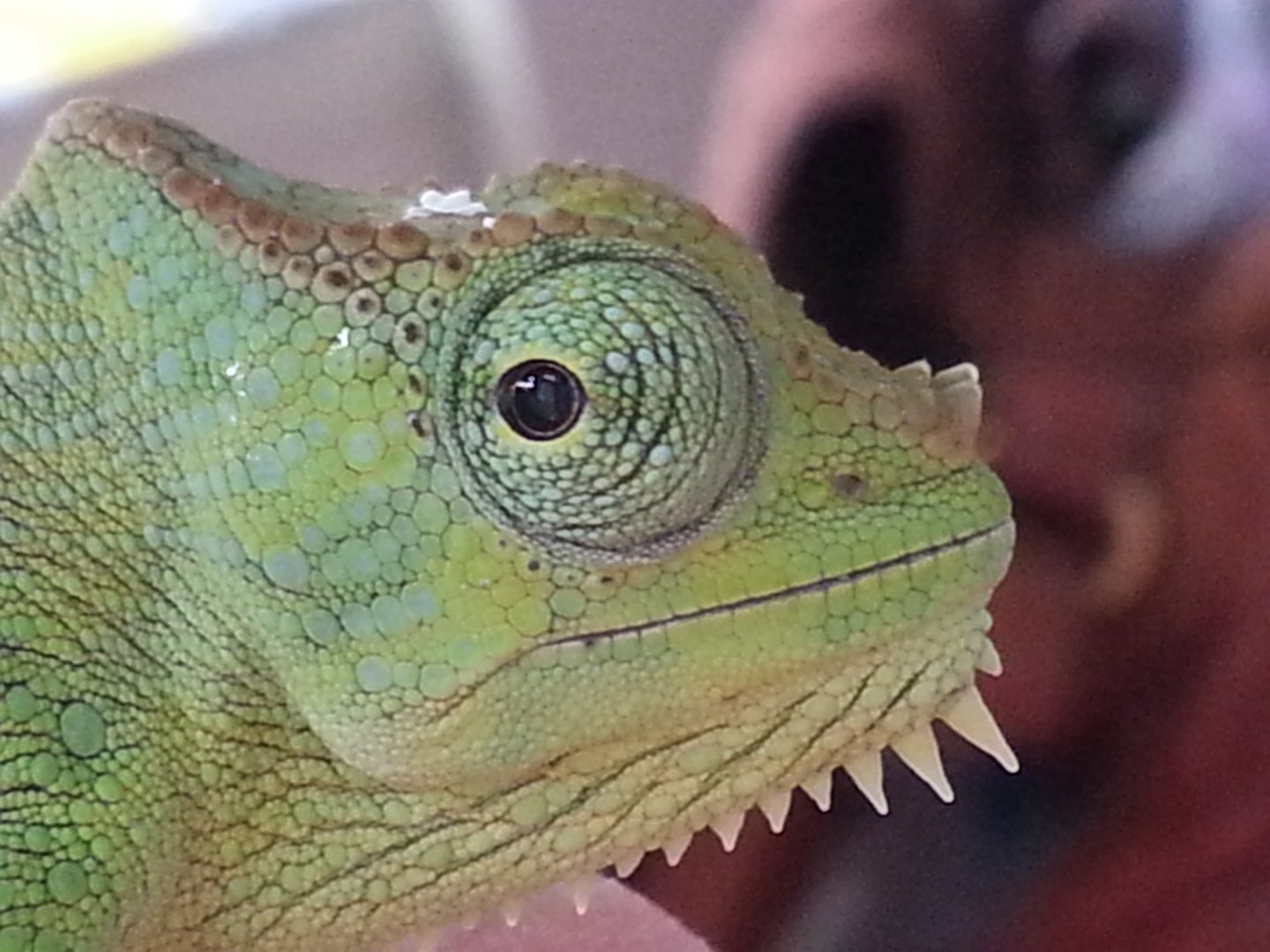 20160502_162151.jpg