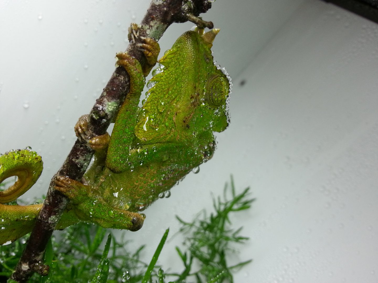 20160506_014549.jpg