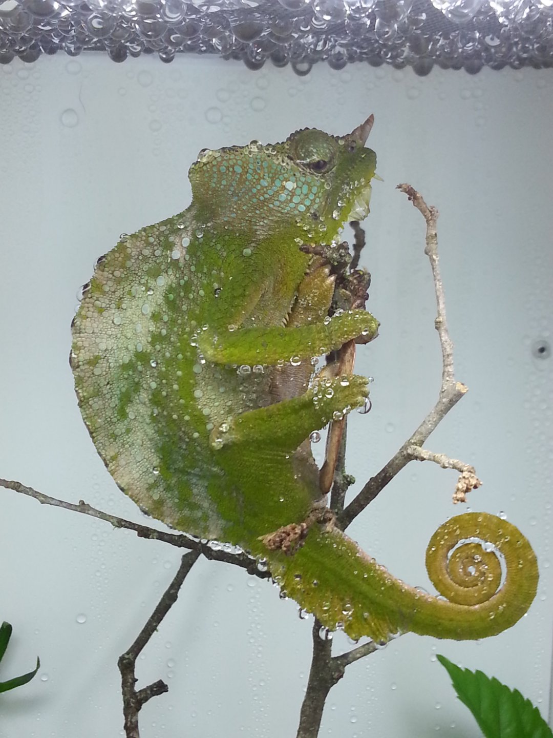 20160506_090441.jpg