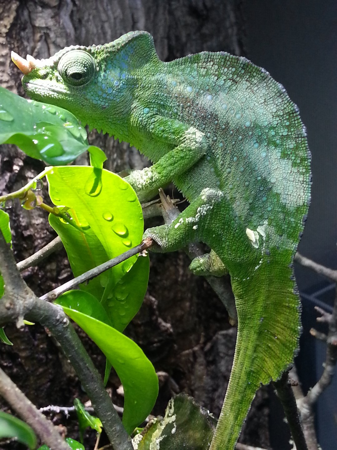 20160506_090656.jpg