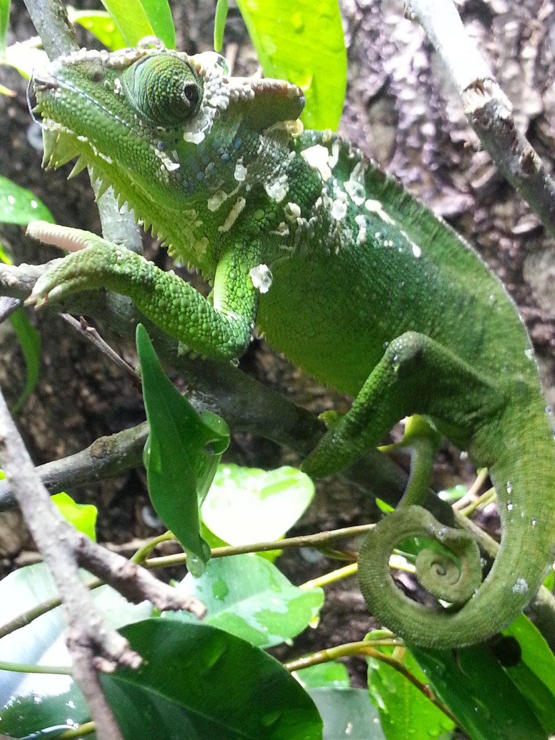 20160506_090848.jpg