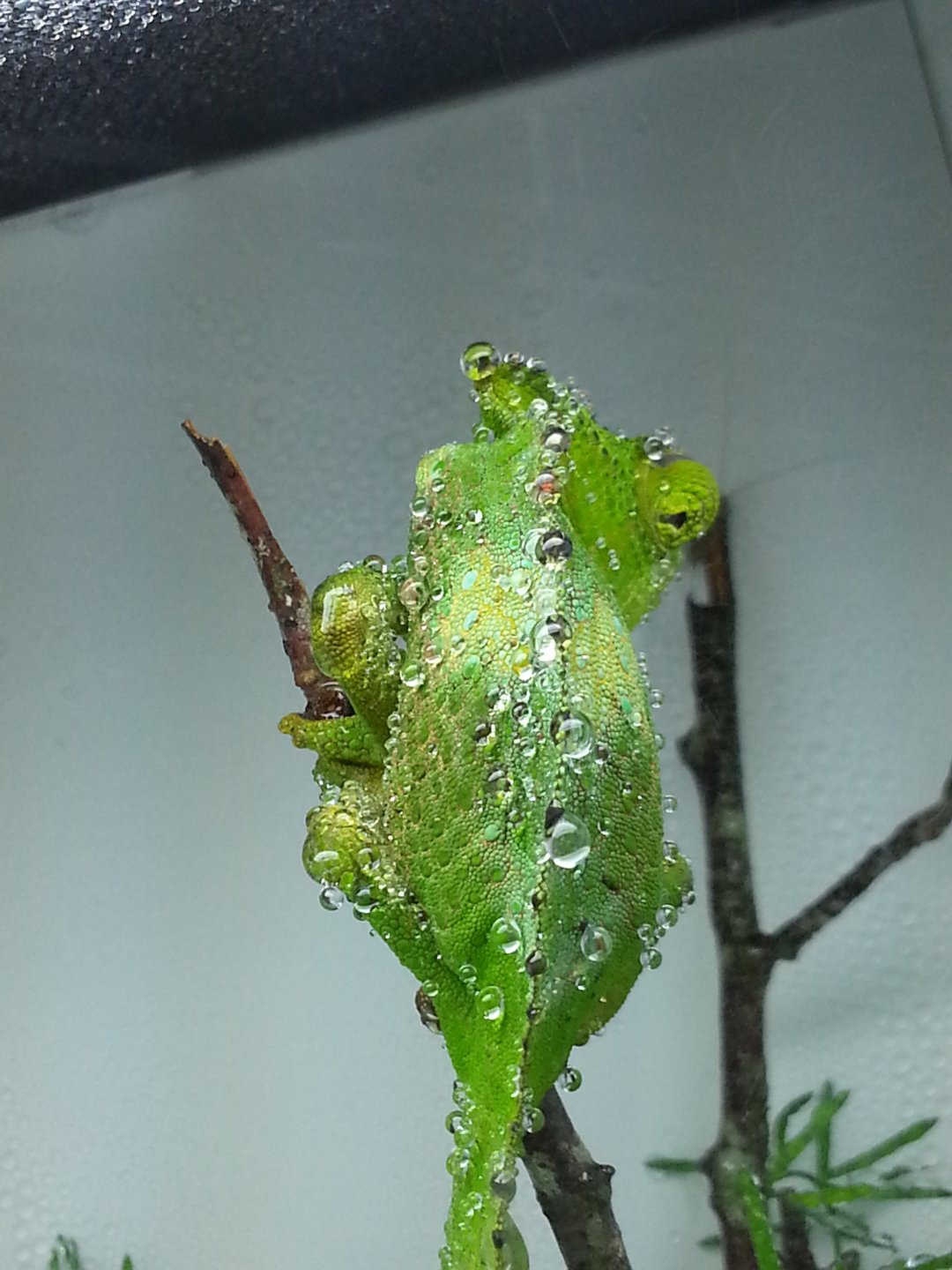 20160507_085014.jpg