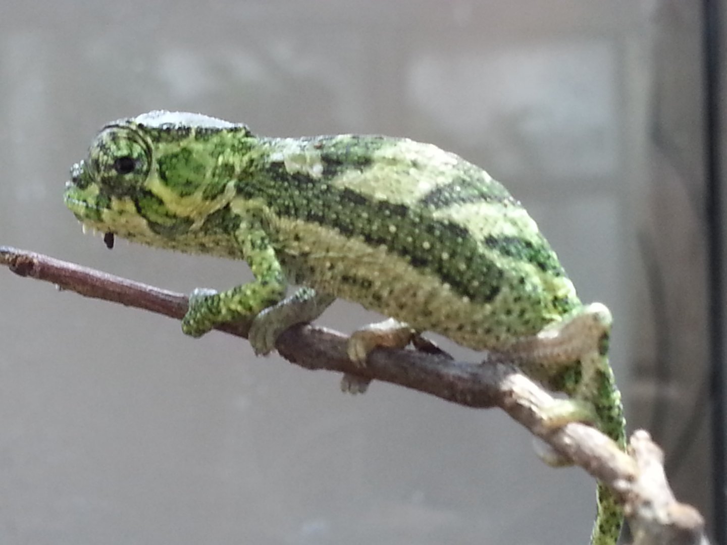 20160509_132440.jpg
