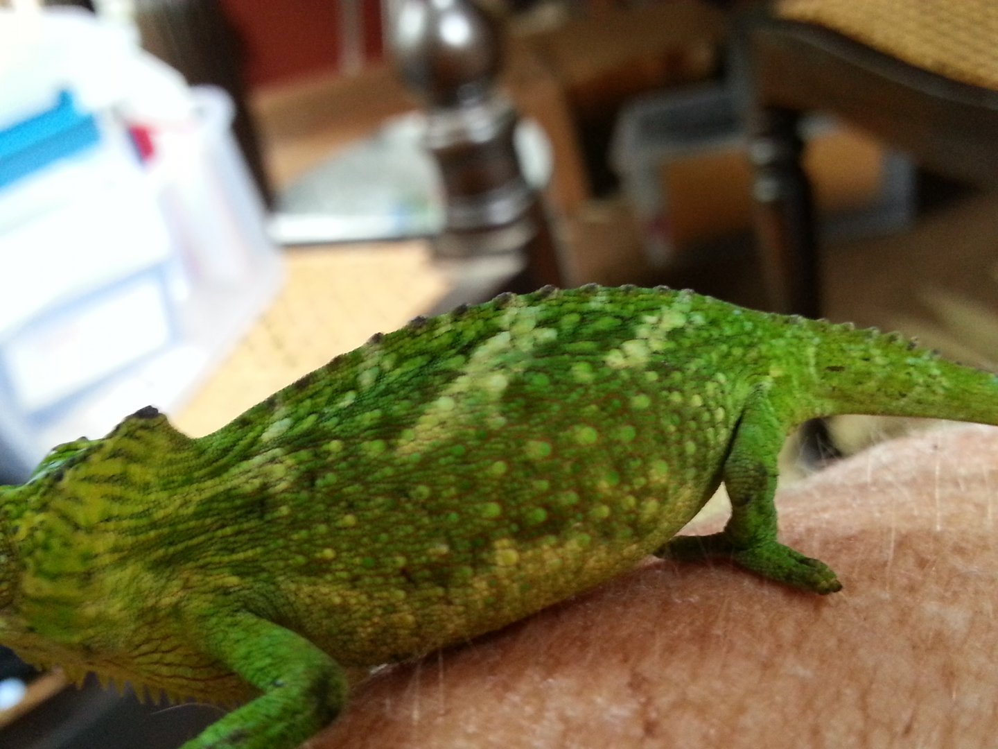 20160511_163246.jpg