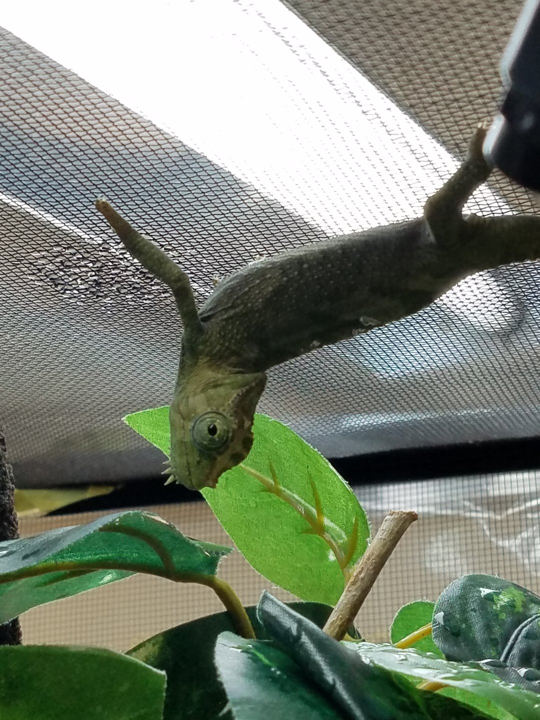 20160512_122203.jpg