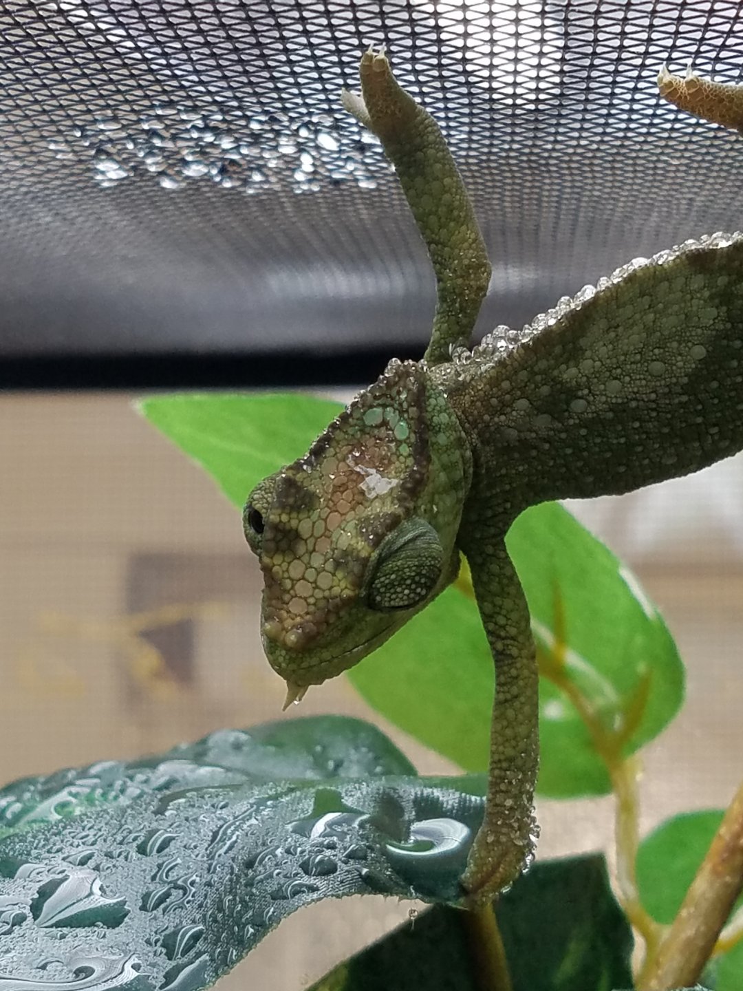 20160512_123201.jpg